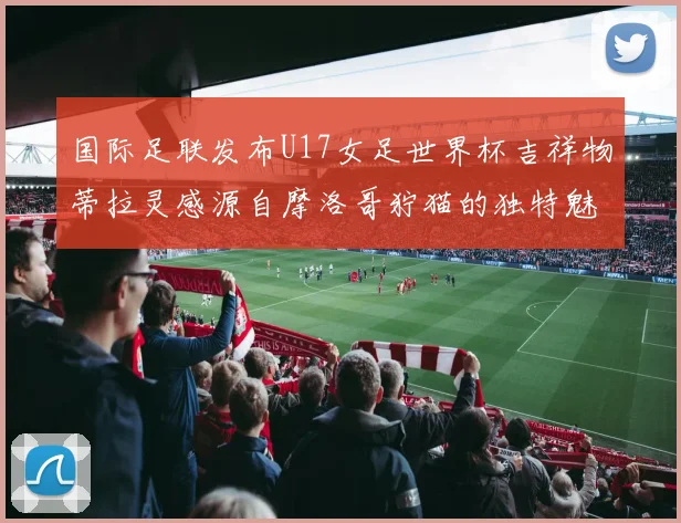 国际足联发布U17女足世界杯吉祥物蒂拉灵感源自摩洛哥狞猫的独特魅力