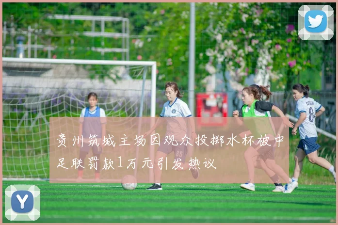 贵州筑城主场因观众投掷水杯被中足联罚款1万元引发热议
