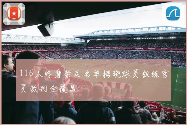116人终身禁足名单揭晓球员教练官员裁判全覆盖