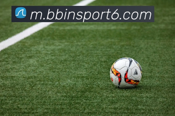 BBIN体育平台生态图