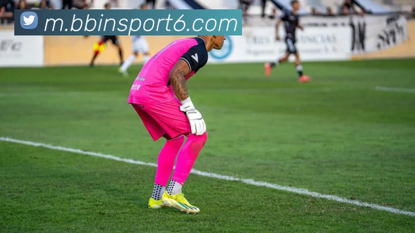 BBIN体育APP 封面图